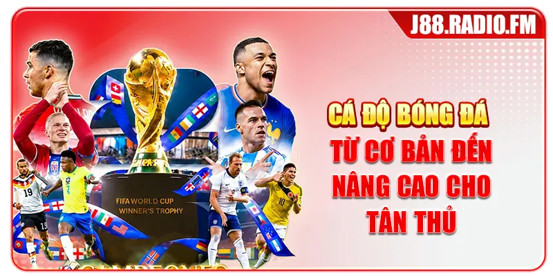 Cá Độ Bóng Đá Từ Cơ Bản Đến Nâng Cao Cho Tân Thủ